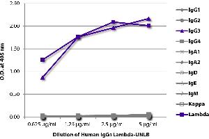ELISA plate was coated with serially diluted Human IgG3 Lambda-UNLB and quantified. (Human IgG3 同型对照)
