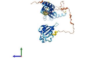 Protein Structure (PS) image for Stomatin (EPB72)-Like 1 (STOML1) (AA 1-399) protein (His tag) (ABIN7559365)