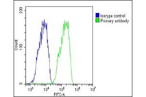 Flow Cytometry (FACS) image for anti-Transthyretin (TTR) (AA 71-98), (C-Term) antibody (ABIN652227)