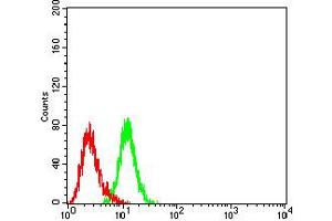 Flow Cytometry (FACS) image for anti-Basigin (Ok Blood Group) (BSG) (AA 138-323) antibody (ABIN5611319)