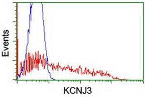 Flow Cytometry (FACS) image for anti-Potassium Inwardly-Rectifying Channel, Subfamily J, Member 3 (KCNJ3) (AA 279-501) antibody (ABIN1491314) (KCNJ3 抗体  (AA 279-501))