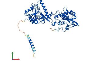 AlphaFold protein structure predicition of Human Recombinant FKRP Protein, UniprotID Q9H9S5