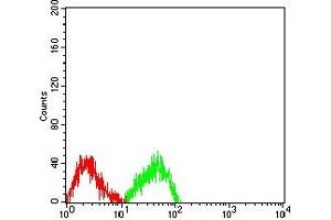 Flow cytometric analysis of SW480 cells using MUC2 mouse mAb (green) and negative control (red). (MUC2 抗体  (AA 4373-4557))