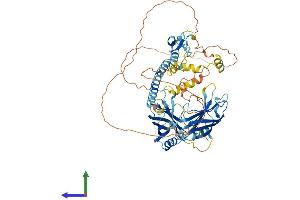 AlphaFold protein structure predicition of Human Recombinant SYTL4 Protein, UniprotID Q96C24 (SYTL4 Protein (AA 1-671) (His tag))