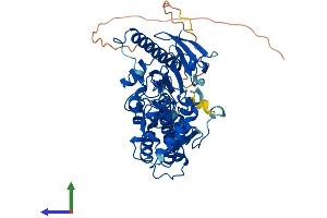 Protein Structure (PS) image for Fucosyltransferase 11 (Alpha (1,3) Fucosyltransferase) (FUT11) (AA 1-492) protein (His tag) (ABIN7547849)