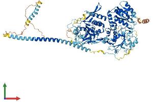 AlphaFold protein structure predicition of Mouse Recombinant Extl3 Protein, UniprotID Q9WVL6