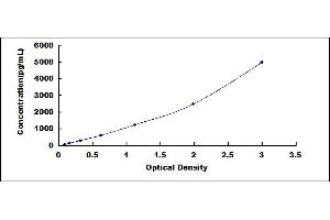 ELISA image for CD80 (CD80) ELISA Kit (ABIN417627)