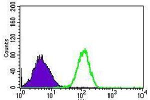 Flow Cytometry (FACS) image for anti-Ribosomal Protein L18a (RPL18A) (AA 50-176) antibody (ABIN1724797)