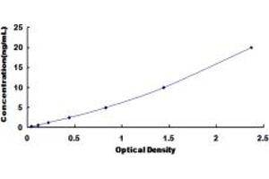 Typical standard curve (TOP2 ELISA 试剂盒)