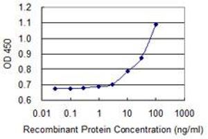Detection limit for recombinant GST tagged APTX is 3 ng/ml as a capture antibody. (Aprataxin 抗体  (AA 69-166))