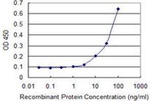 Detection limit for recombinant GST tagged MKNK1 is 1 ng/ml as a capture antibody. (MKNK1 抗体  (AA 1-465))