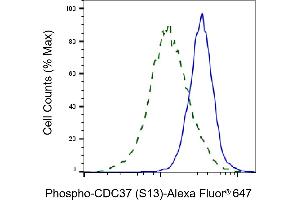 Validation of CDC37 knockdown using flow cytometry.