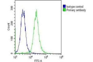Overlay histogram showing K562 cells stained with (ABIN653363 and ABIN2842839) (green line). (HBa2 抗体  (AA 100-128))