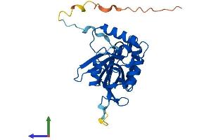 Protein Structure (PS) image for Pyridoxamine 5'-Phosphate Oxidase (PNPO) (AA 1-261) protein (His tag) (ABIN7560091)