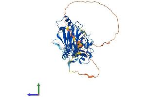 Protein Structure (PS) image for SMAD, Mothers Against DPP Homolog 1 (SMAD1) (AA 1-465) protein (His tag) (ABIN7546131)