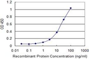 Detection limit for recombinant GST tagged TUFM is 0. (TUFM 抗体  (AA 40-455))