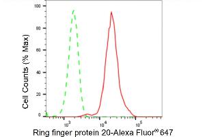 Flow cytometric analysis of Ring finger protein 20 expression in HepG2 cells using Ring finger protein 20 antibody (ABIN7800247), 1:2,000). (Recombinant RNF20 抗体)