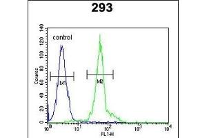 IF Antibody (N-term) (ABIN651581 and ABIN2840310) flow cytometric analysis of 293 cells (right histogram) compared to a negative control cell (left histogram).