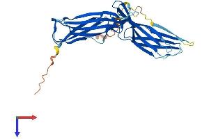 AlphaFold protein structure predicition of Human Recombinant ARRDC5 Protein, UniprotID A6NEK1