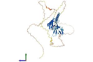 AlphaFold protein structure predicition of Mouse Recombinant Nfatc2ip Protein, UniprotID O09130