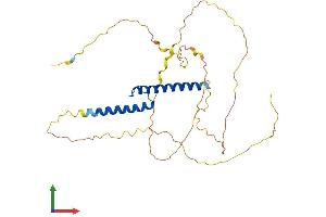 Protein Structure (PS) image for T-Cell Acute Lymphocytic Leukemia 1 (TAL1) (AA 1-331) protein (His tag) (ABIN7544159)