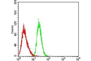 Flow cytometric analysis of THP-1 cells using GSN mouse mAb (green) and negative control (red).