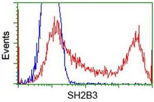 HEK293T cells transfected with either RC218359 overexpress plasmid (Red) or empty vector control plasmid (Blue) were immunostained by anti-SH2B3 antibody (ABIN2454471), and then analyzed by flow cytometry. (SH2B3 抗体)
