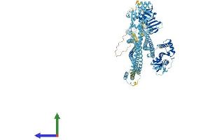 Protein Structure (PS) image for Structural Maintenance of Chromosomes 3 (SMC3) (AA 1-1217) protein (His tag) (ABIN7564951)