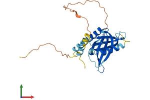 AlphaFold protein structure predicition of Mouse Recombinant Pid1 Protein, UniprotID Q3UBG2