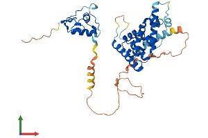 AlphaFold protein structure predicition of Human Recombinant NR2E1 Protein, UniprotID Q9Y466