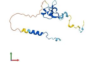 Protein Structure (PS) image for Nanos Homolog 2 (NANOS2) (AA 1-138) protein (His tag) (ABIN7549624)