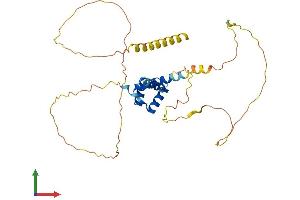 Protein Structure (PS) image for Short Stature Homeobox 2 (SHOX2) (AA 1-331) protein (His tag) (ABIN7556712)