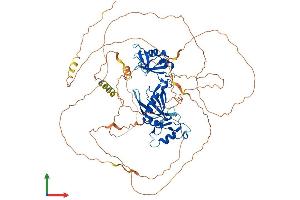 Protein Structure (PS) image for Cytoplasmic Polyadenylation Element Binding Protein 3 (CPEB3) (AA 1-716) protein (His tag) (ABIN7558227)