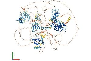 AlphaFold protein structure predicition of Human Recombinant NSD3 Protein, UniprotID Q9BZ95