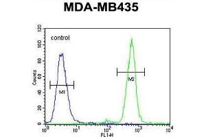 TAPT1 Antibody (C-term) flow cytometric analysis of MDA-MB435 cells (right histogram) compared to a negative control cell (left histogram). (TAPT1 抗体  (C-Term))