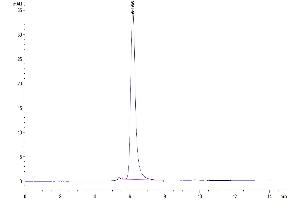 The purity of Human Angiopoietin-like 4 is greater than 95 % as determined by SEC-HPLC.