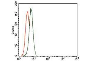 Flow cytometric analysis of K562 cells using TRIP6 mouse mAb (green) and negative control (red). (TRIP6 抗体  (AA 107-291))