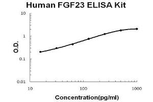 Human  FGF23 PicoKine ELISA Kit standard curve (FGF23 ELISA 试剂盒)