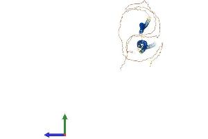 Protein Structure (PS) image for Keratin 75 (KRT75) (AA 1-551) protein (His tag) (ABIN7558599)