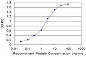 Detection limit for recombinant GST tagged USP9X is approximately 0. (USP9X 抗体  (AA 1-90))