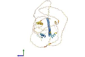 Protein Structure (PS) image for CAMP Responsive Element Binding Protein 5 (CREB5) (AA 1-508) protein (His tag) (ABIN7546724)