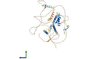 Protein Structure (PS) image for Spermatogenesis Associated 7 (SPATA7) (AA 1-582) protein (His tag) (ABIN7558368)