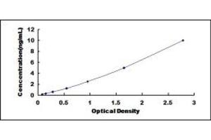 Typical standard curve (FECH ELISA 试剂盒)