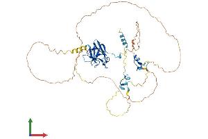 Protein Structure (PS) image for Aprataxin and PNKP Like Factor (APLF) (AA 1-499) protein (His tag) (ABIN7561112)