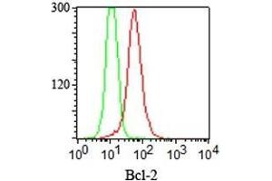 Intracellular staining of Bcl-2 in Jurkat cells Bcl-2 Mouse Monoclonal Antibody (100/D5) (red) and isotype control (green). (Bcl-2 抗体  (AA 41-54))