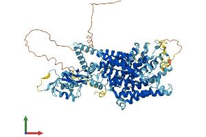 Protein Structure (PS) image for Chloride Channel 3 (CLCN3) (AA 1-818) protein (His tag) (ABIN7563395)