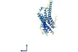 Protein Structure (PS) image for G Protein-Coupled Receptor 119 (GPR119) (AA 1-335) protein (His tag) (ABIN7558280)