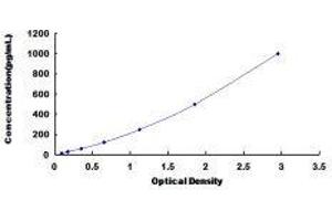 ELISA image for Tumor Necrosis Factor Receptor Superfamily, Member 18 (TNFRSF18) ELISA Kit (ABIN417697)