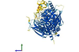 Protein Structure (PS) image for Phospholipase A2, Group IVB (Cytosolic) (PLA2G4B) (AA 1-781) protein (His tag) (ABIN7554834)