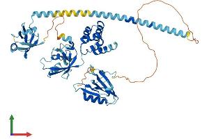 Protein Structure (PS) image for Usher Syndrome 1C (Autosomal Recessive, Severe) (USH1C) (AA 1-552) protein (His tag) (ABIN7555981)